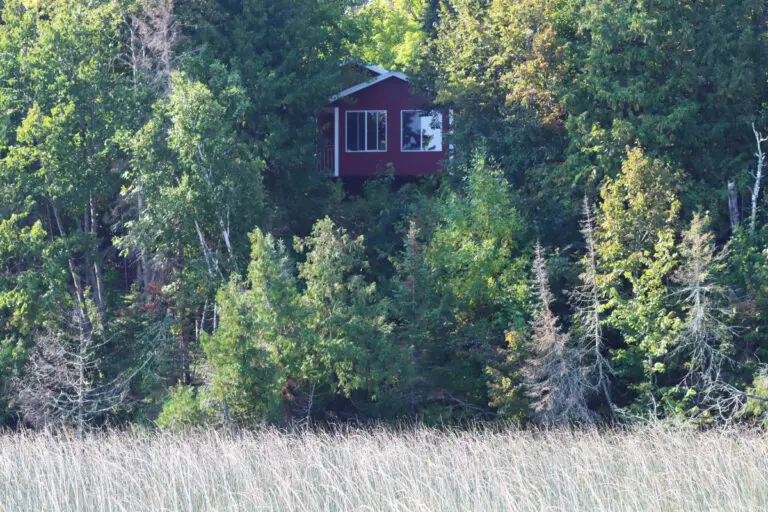 Cabin 6 from lake