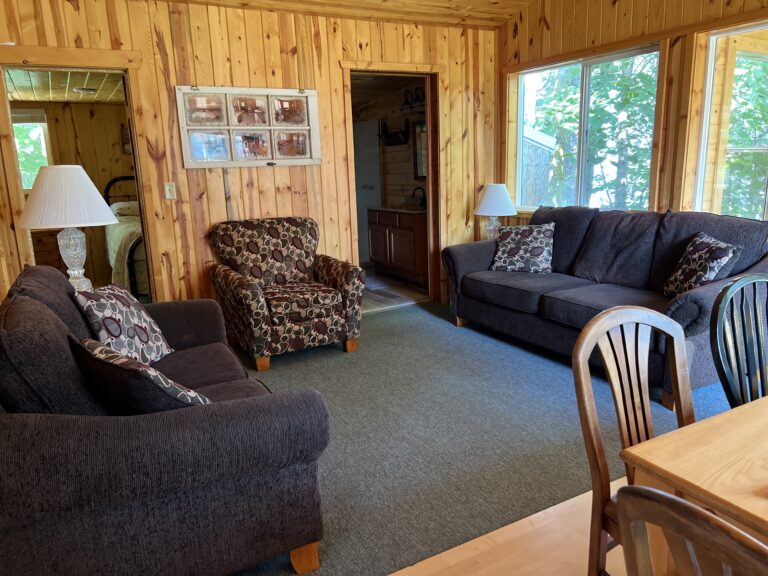 Cabin 9 Living Room