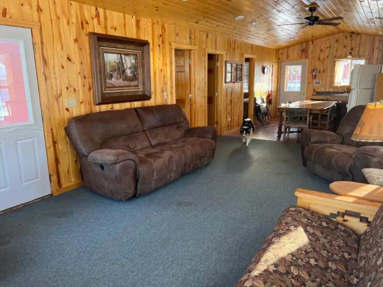 Cabin 6 Living Room